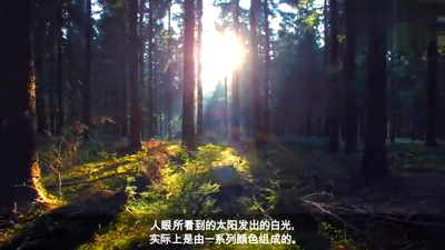 一盏灯模拟图片.jpg